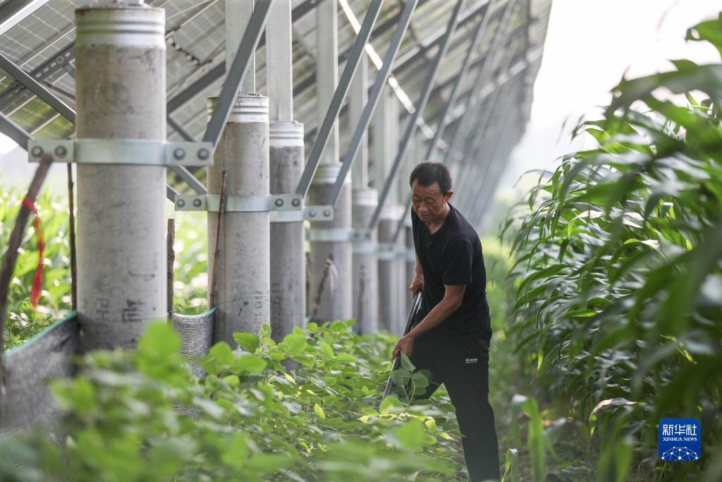 问鼎app官方下载